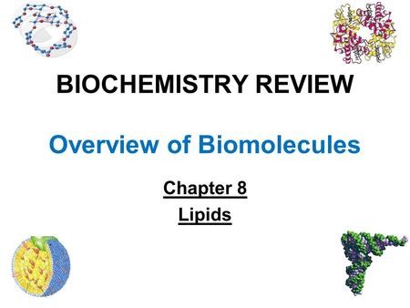 BIOCHEMISTRY REVIEW Overview of Biomolecules