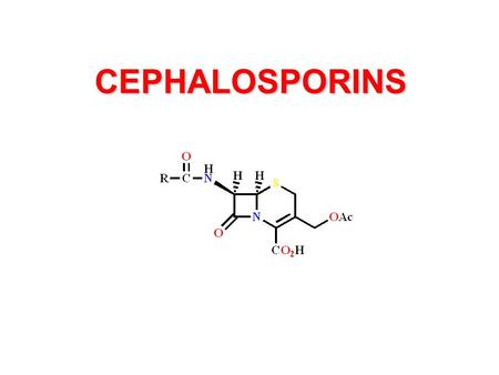 CEPHALOSPORINS.