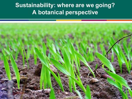 Sustainability: where are we going? A botanical perspective.