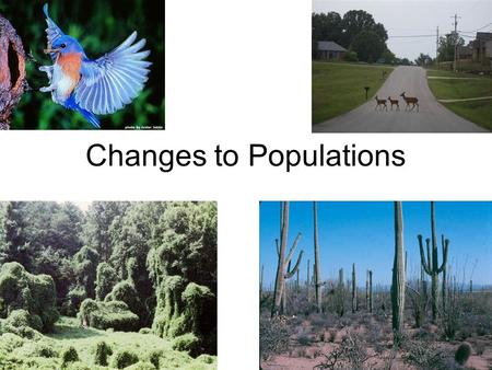 Changes to Populations