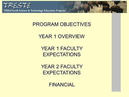 PROGRAM OBJECTIVES YEAR 1 OVERVIEW YEAR 1 FACULTY EXPECTATIONS YEAR 2 FACULTY EXPECTATIONS FINANCIAL.