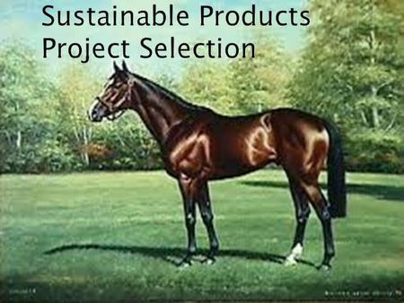  Project Title: Map and Quantify the Recovery and Recycling of High-Value and High Negative Impact Products  Project Team: ◦ Innovative & traditional.