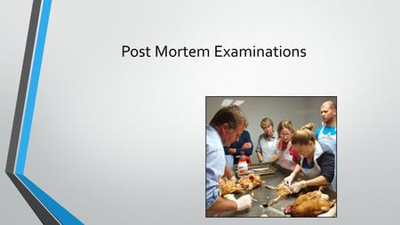 Post Mortem Examinations. Next Generation Science/ Common Core Standards Addressed! CCSS.ELA-Literacy.RST.11-12.2 Determine the central ideas or conclusions.