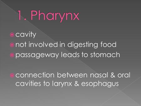  cavity  not involved in digesting food  passageway leads to stomach  connection between nasal & oral cavities to larynx & esophagus.