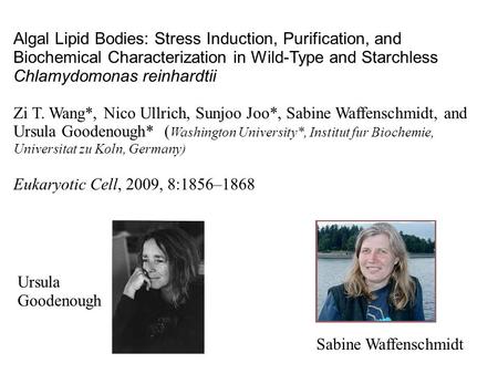 Algal Lipid Bodies: Stress Induction, Purification, and Biochemical Characterization in Wild-Type and Starchless Chlamydomonas reinhardtii Zi T. Wang*,