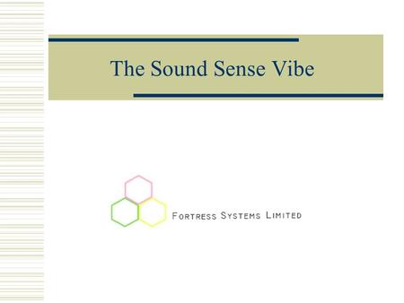 The Sound Sense Vibe. Outline  Motivation for project  Roles in project  System Overview  High level system design  Business Case  Project Details.