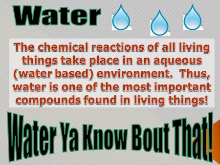 Roughly 70 percent of an adult’s body is made up of water. By the time a person feels thirsty, his or her body has lost over 1 percent of its total.