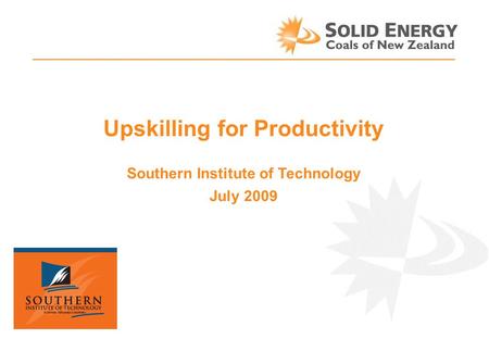 Upskilling for Productivity Southern Institute of Technology July 2009.