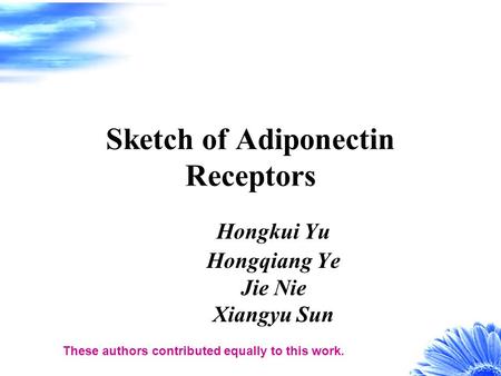 Sketch of Adiponectin Receptors Hongkui Yu Hongqiang Ye Jie Nie Xiangyu Sun These authors contributed equally to this work.