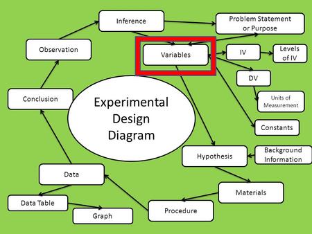 Observation Inference Variables Problem Statement or Purpose IV DV Levels of IV Units of Measurement Constants Hypothesis Materials Procedure Data Data.