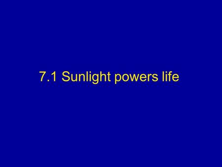 7.1 Sunlight powers life. I. Obtaining Food A.Autotrophs are organisms that obtain their energy through the process of photosynthesis such as green plants.