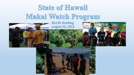 Makai Watch Human-use monitoring and Biological Literacy Education ( HUMBLE ) Optional Awareness Raising and Outreach (ARO) Observation and Incidence.