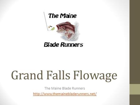 Grand Falls Flowage The Maine Blade Runners