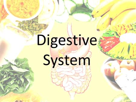 Digestive System. Digestive Process 1.Ingestion 2.Movement of food 3.Digestion 4.Absorption 5.Defecation Humans track = Alimentary Canal 30’ of digestive.