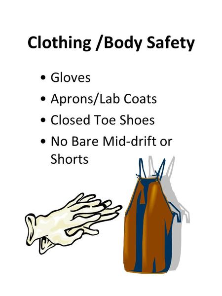 Clothing /Body Safety Gloves Aprons/Lab Coats Closed Toe Shoes No Bare Mid-drift or Shorts.