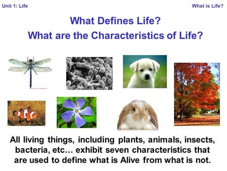 What Defines Life? What are the Characteristics of Life? All living things, including plants, animals, insects, bacteria, etc… exhibit seven characteristics.