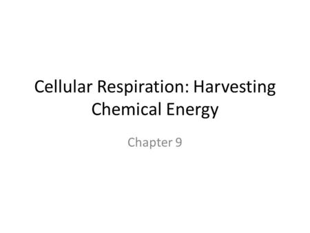 Cellular Respiration: Harvesting Chemical Energy