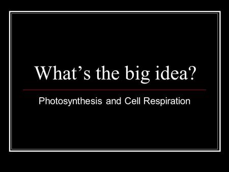 Photosynthesis and Cell Respiration