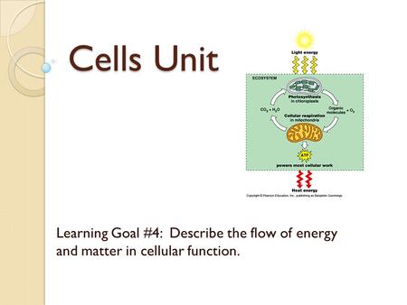 Cells Unit Learning Goal #4: Describe the flow of energy and matter in cellular function.