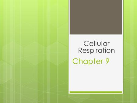 Cellular Respiration Chapter 9.