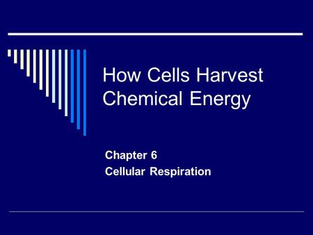 How Cells Harvest Chemical Energy