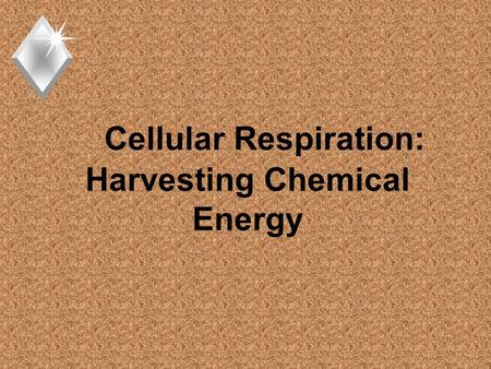 Cellular Respiration: Harvesting Chemical Energy.