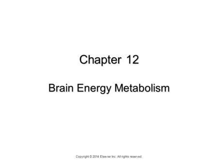 Chapter 12 Brain Energy Metabolism Copyright © 2014 Elsevier Inc. All rights reserved.