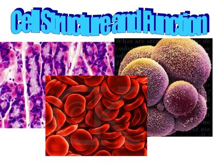 All living things are composed of cells Cells are the basic unit of structure and function in living things New cells come from other cells.