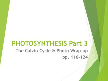 PHOTOSYNTHESIS Part 3 The Calvin Cycle & Photo Wrap-up pp. 116-124.