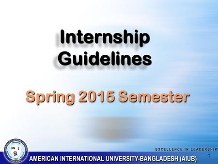 InternshipGuidelinesInternshipGuidelines 1 Spring 2015 Semester.