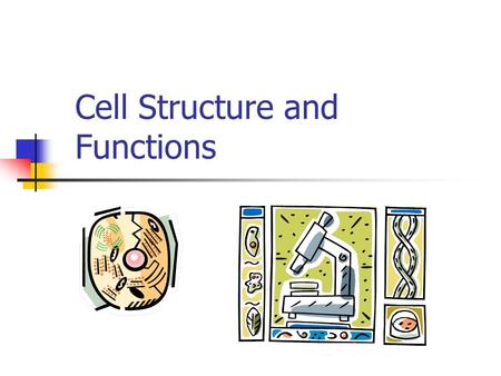 Cell Structure and Functions