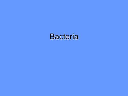 Bacteria.