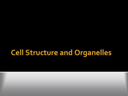 Cell Structure and Organelles