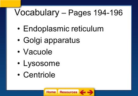 Endoplasmic reticulum Golgi apparatus Vacuole Lysosome Centriole