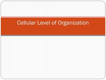 Cellular Level of Organization