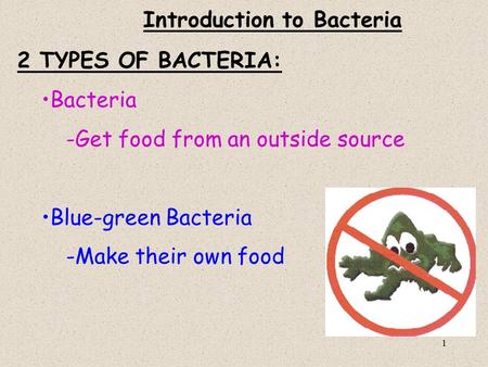 Introduction to Bacteria