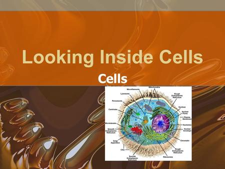 Looking Inside Cells Cells Organelles Tiny Cell Structures Carry out specific functions Produce energy/transport materials/store and recycle waste.