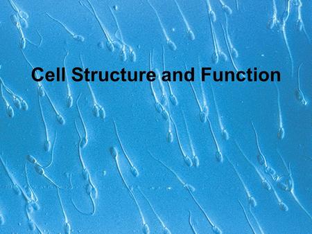 Cell Structure and Function. Cells Smallest living unit Most are microscopic.