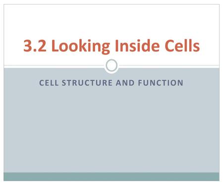 Cell Structure and Function