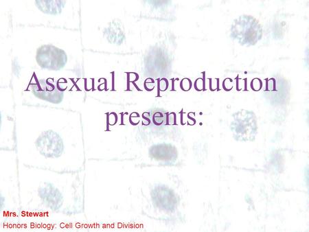 1 1 Asexual Reproduction presents: Mrs. Stewart Honors Biology: Cell Growth and Division.