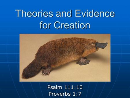 Theories and Evidence for Creation Psalm 111:10 Proverbs 1:7.