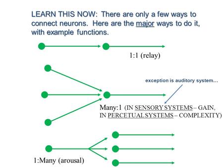 LEARN THIS NOW: There are only a few ways to connect neurons. Here are the major ways to do it, with example functions. 1:1 (relay) Many:1 (IN SENSORY.