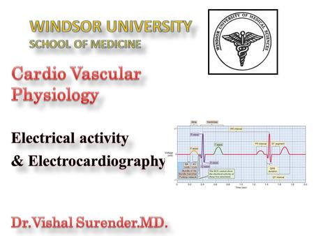 WINDSOR UNIVERSITY SCHOOL OF MEDICINE