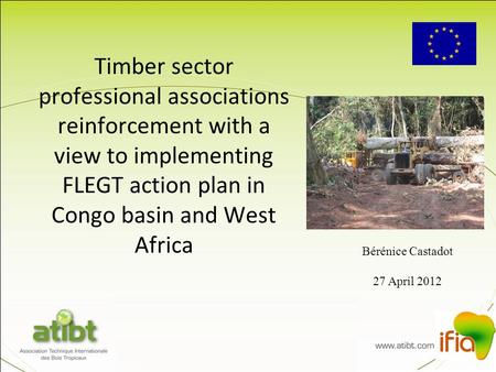 Timber sector professional associations reinforcement with a view to implementing FLEGT action plan in Congo basin and West Africa Bérénice Castadot 27.