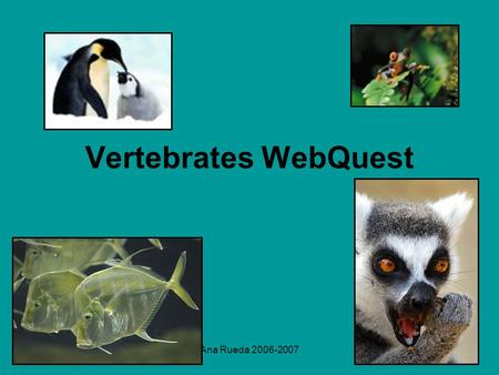 Ana Rueda 2006-2007 Vertebrates WebQuest. Ana Rueda 2006-2007 Introduction The Nature Magazine is preparing an edition of their magazines for kids. They.