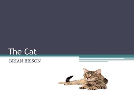 The Cat BRIAN BISSON. The scientific name for the domestic cat is Felis Catus Man’s history with the cat goes all the way back to Ancient Egypt where.