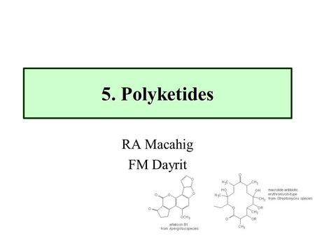 5. Polyketides RA Macahig FM Dayrit.