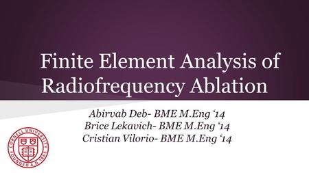 Finite Element Analysis of Radiofrequency Ablation Abirvab Deb- BME M.Eng ‘14 Brice Lekavich- BME M.Eng ‘14 Cristian Vilorio- BME M.Eng ‘14.