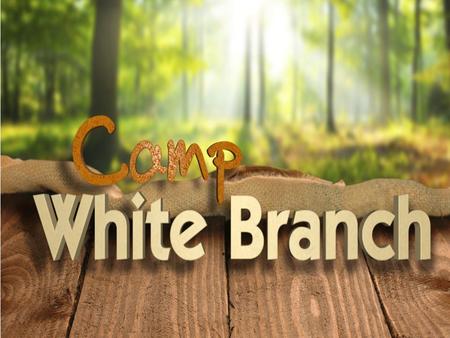 Ways You Can Support the Camp White Branch Fundraising Sunday on October 11 th to Raise $500k for the Multi-Purpose Building 1. Pray for the ongoing ministry.