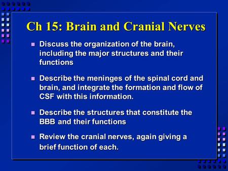 Ch 15: Brain and Cranial Nerves